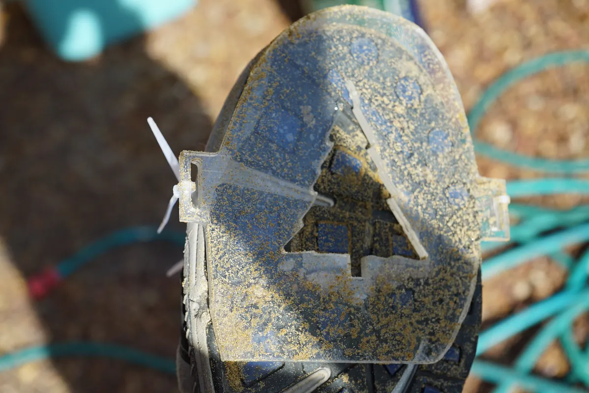 Festive Shoe/s - image 1