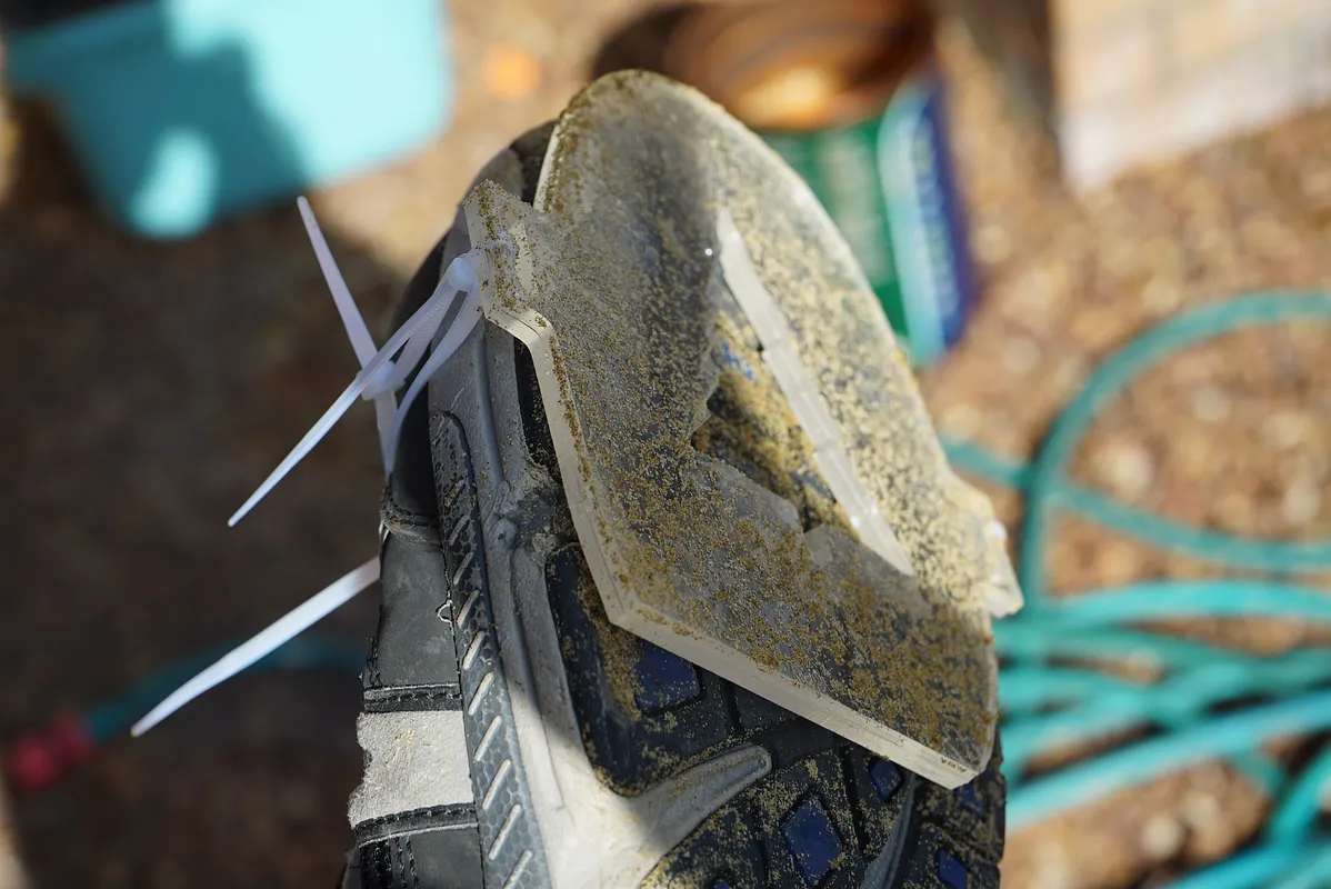 Festive Shoe/s - image 2