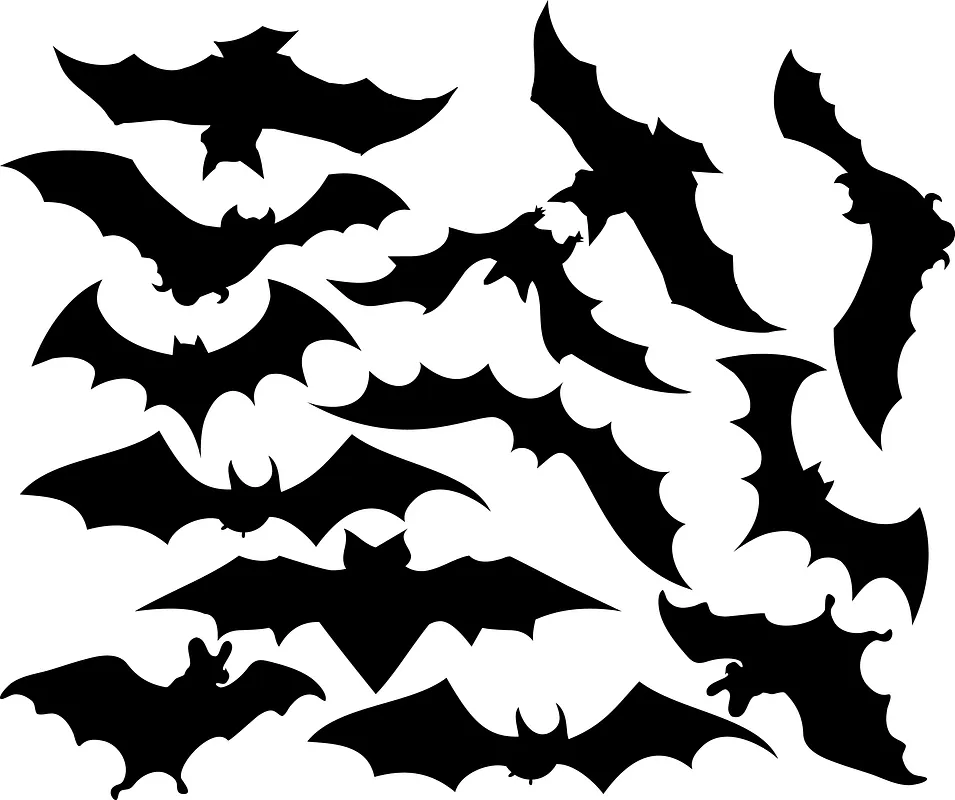 Halloween silhouettes - image 2