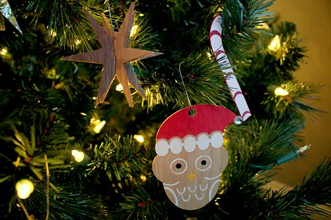 Santa Owl