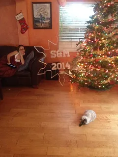Snowflake Ornament