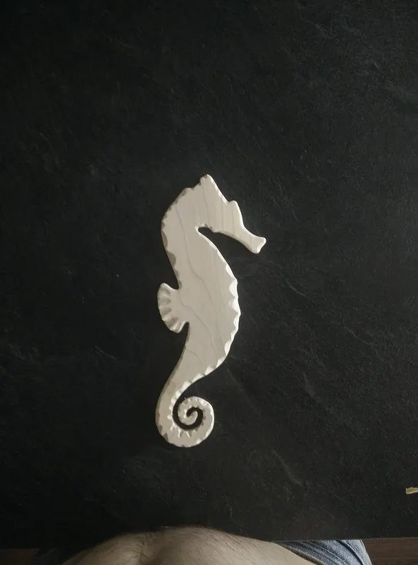 Seahorse - image 1
