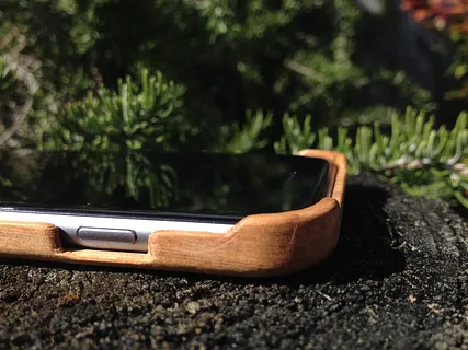 iPhone 6 Case