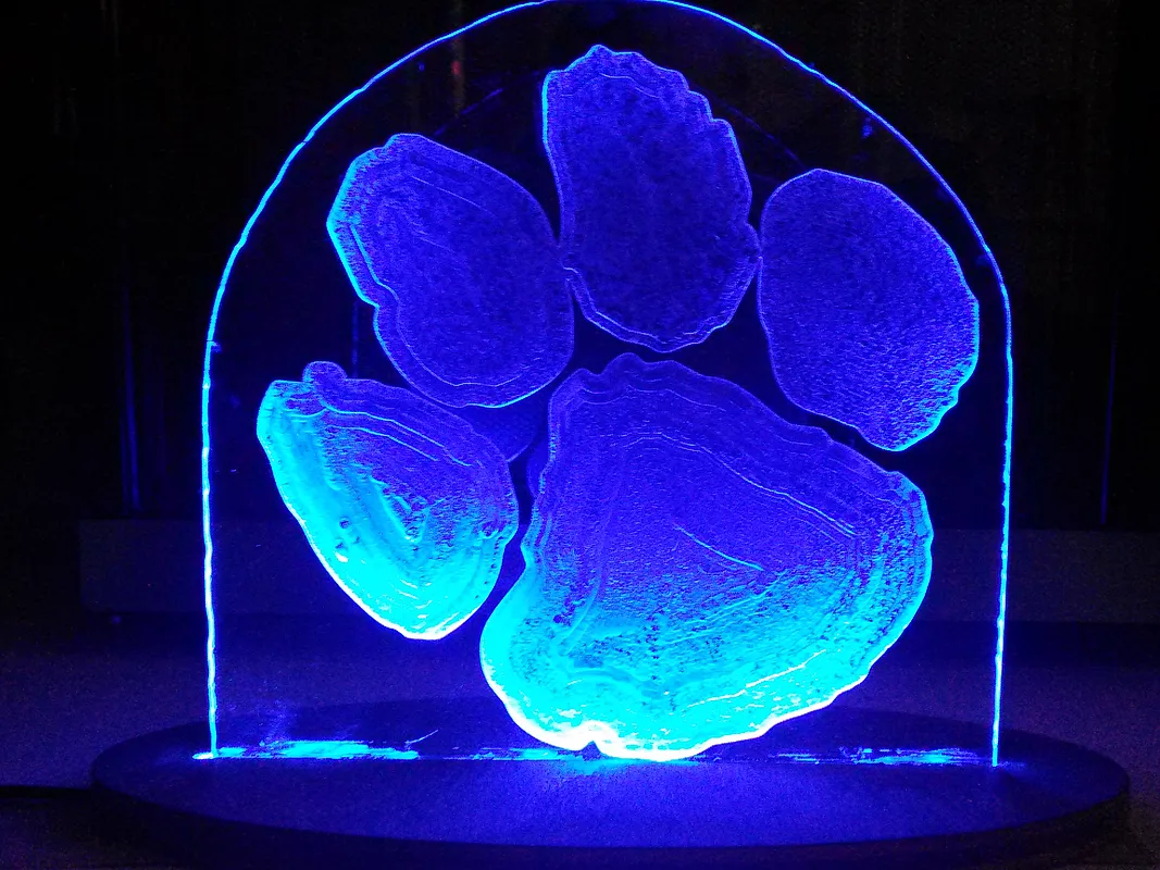 clemson paw - image 1