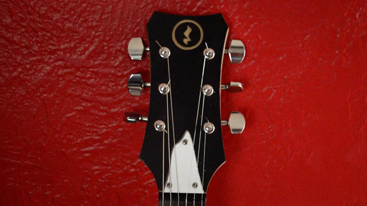 Picciuto Guitar Body - image 4