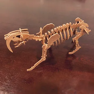 Saber Toothed Tiger Skeleton