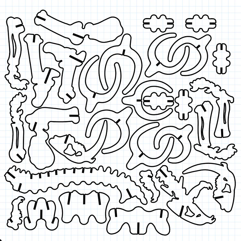 Saber Toothed Tiger Skeleton - image 2