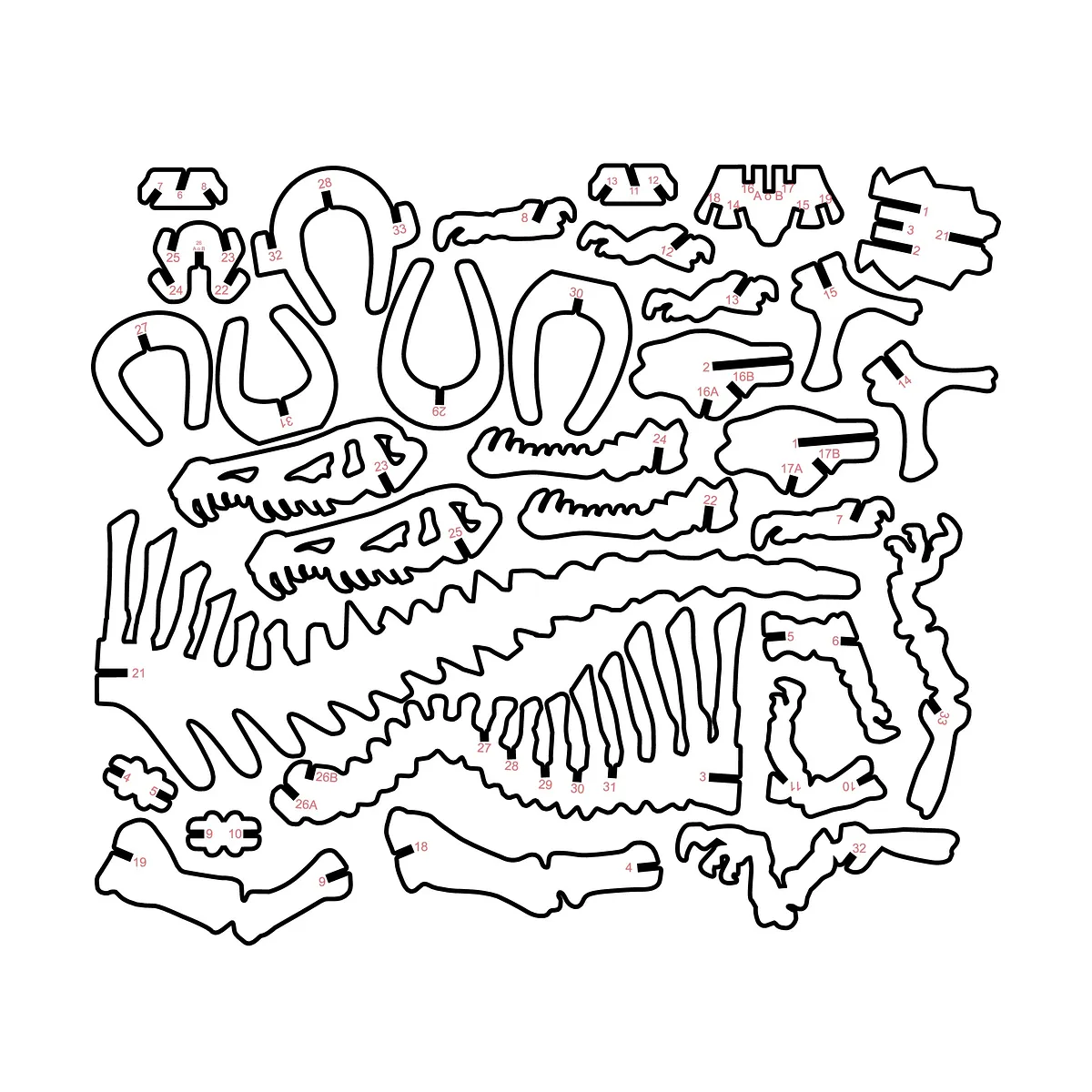 Spinosaurus Skeleton — Cleanup and Assembly