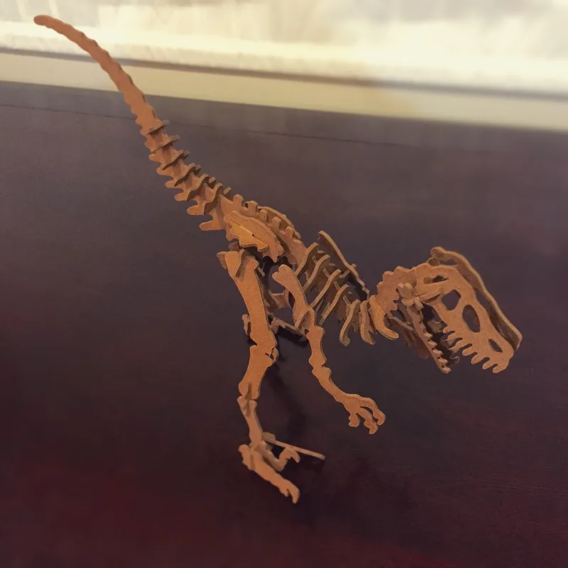 Velociraptor Skeleton - image 1
