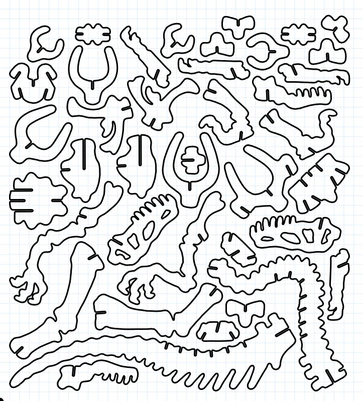 Velociraptor Skeleton - image 2