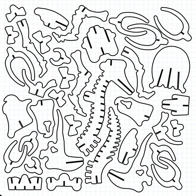 Triceratops Skeleton - image 2