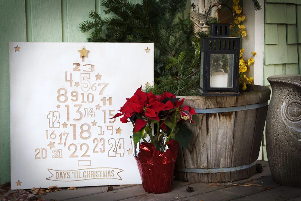 Outdoor Christmas Tree Advent - image 1