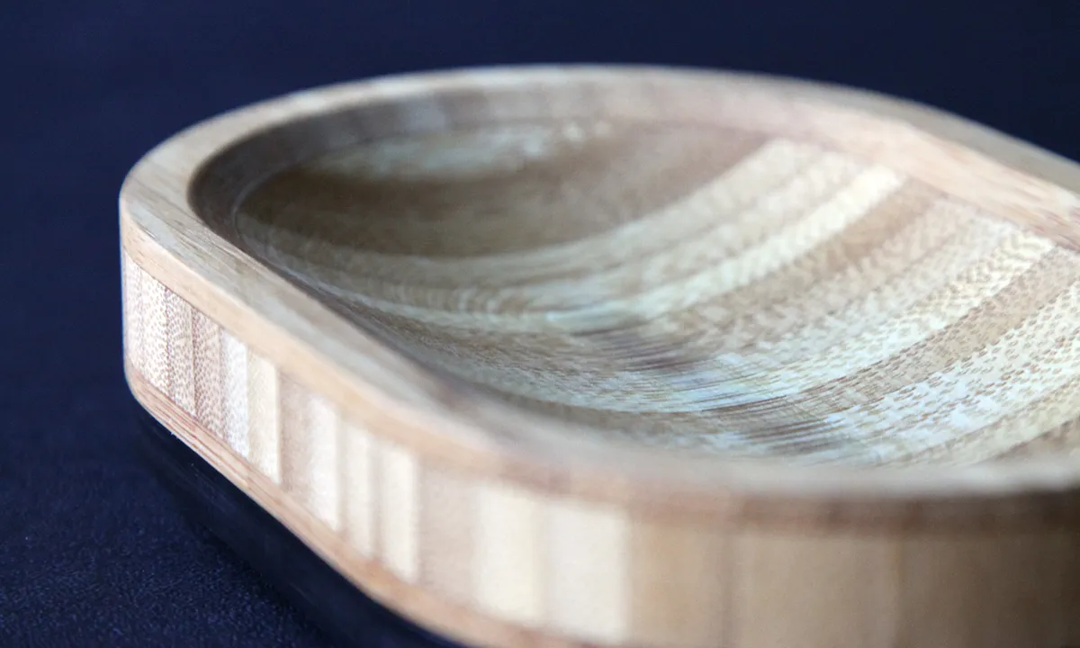 Bamboo Dish - image 1