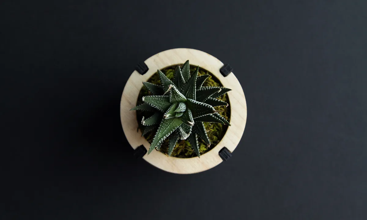 Desktop Planter - image 3