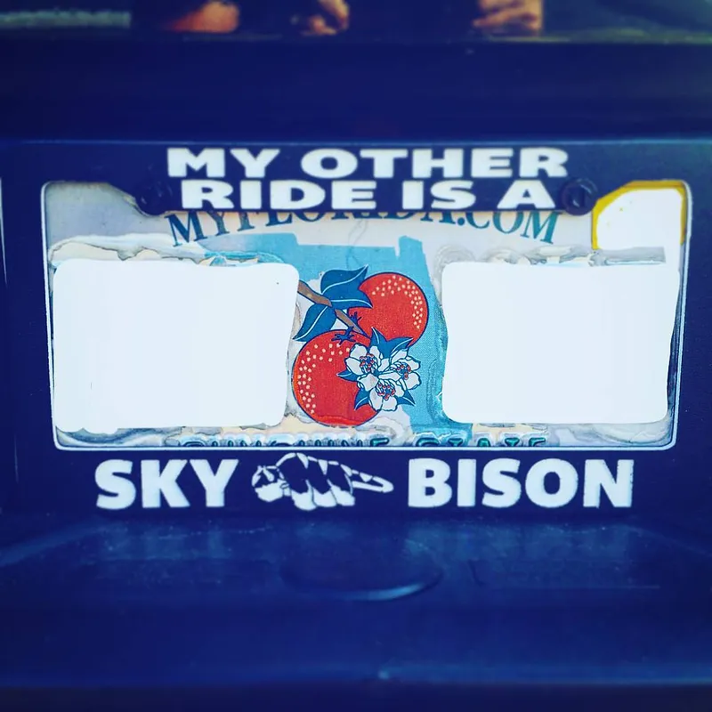 sKY bISON - image 1