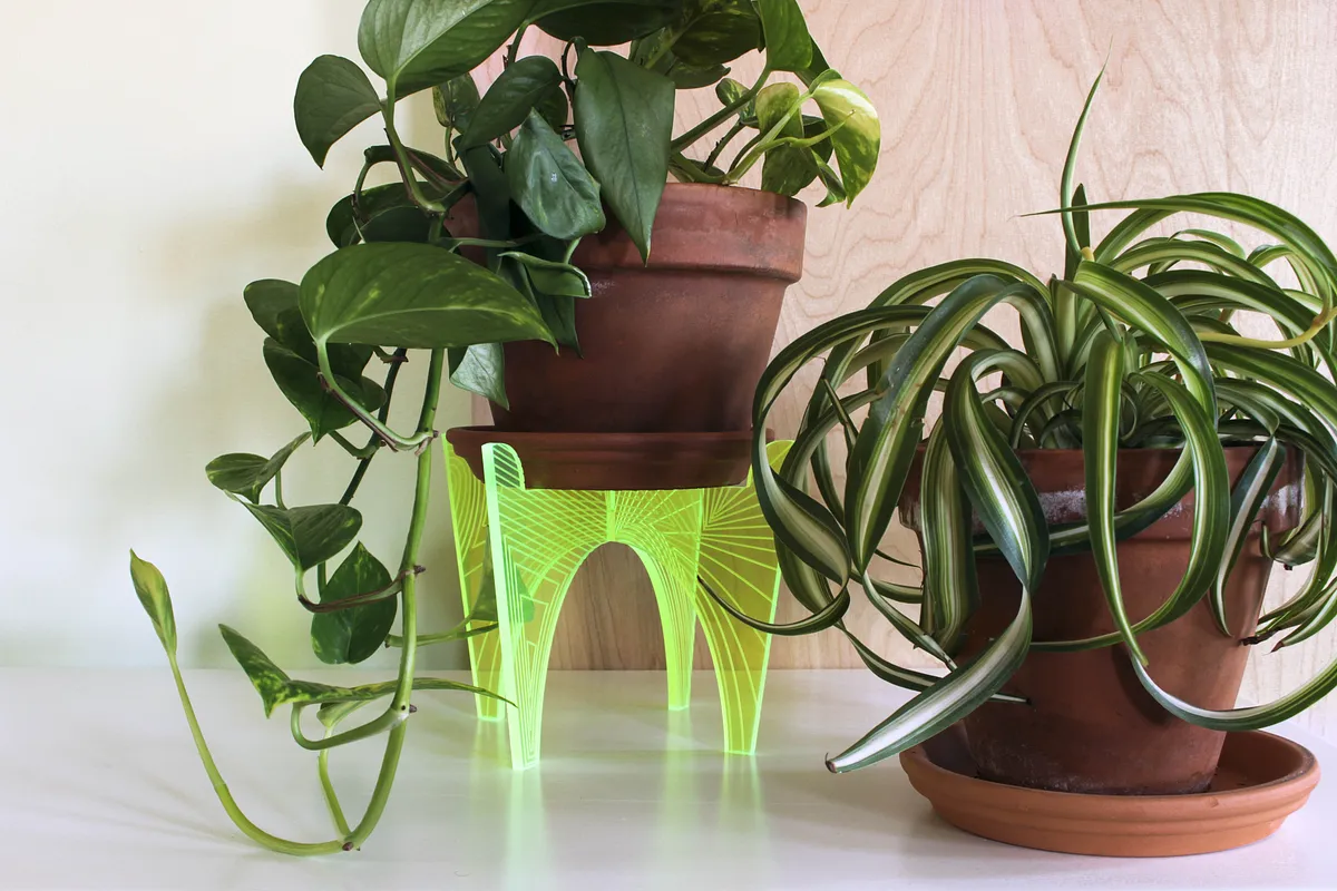 Engraved Neon Plant Stand - image 1
