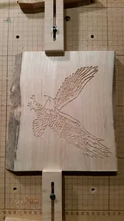 2D Eagle in Flight