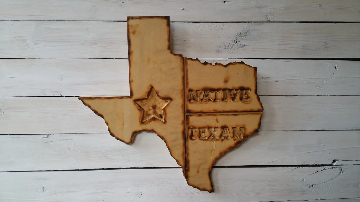 TEXAS state Native Texan - image 2