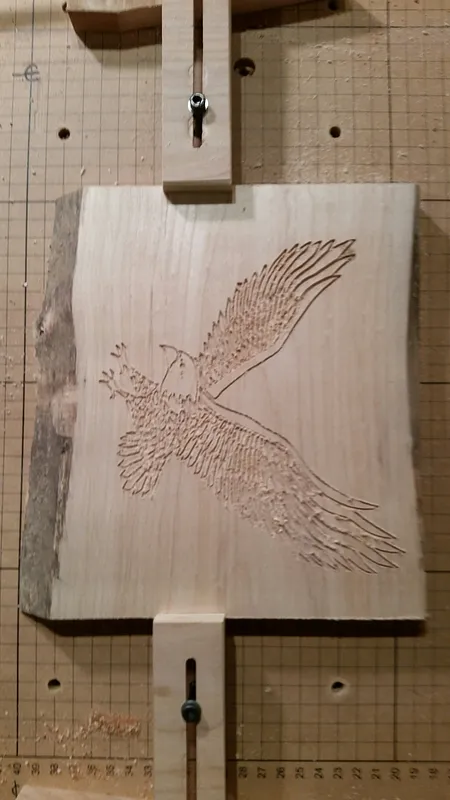 2D Eagle in Flight - image 1