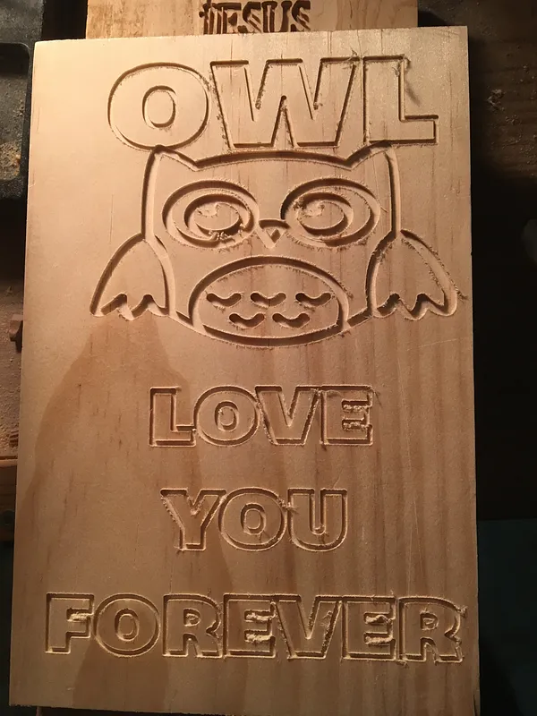 OWL - image 2