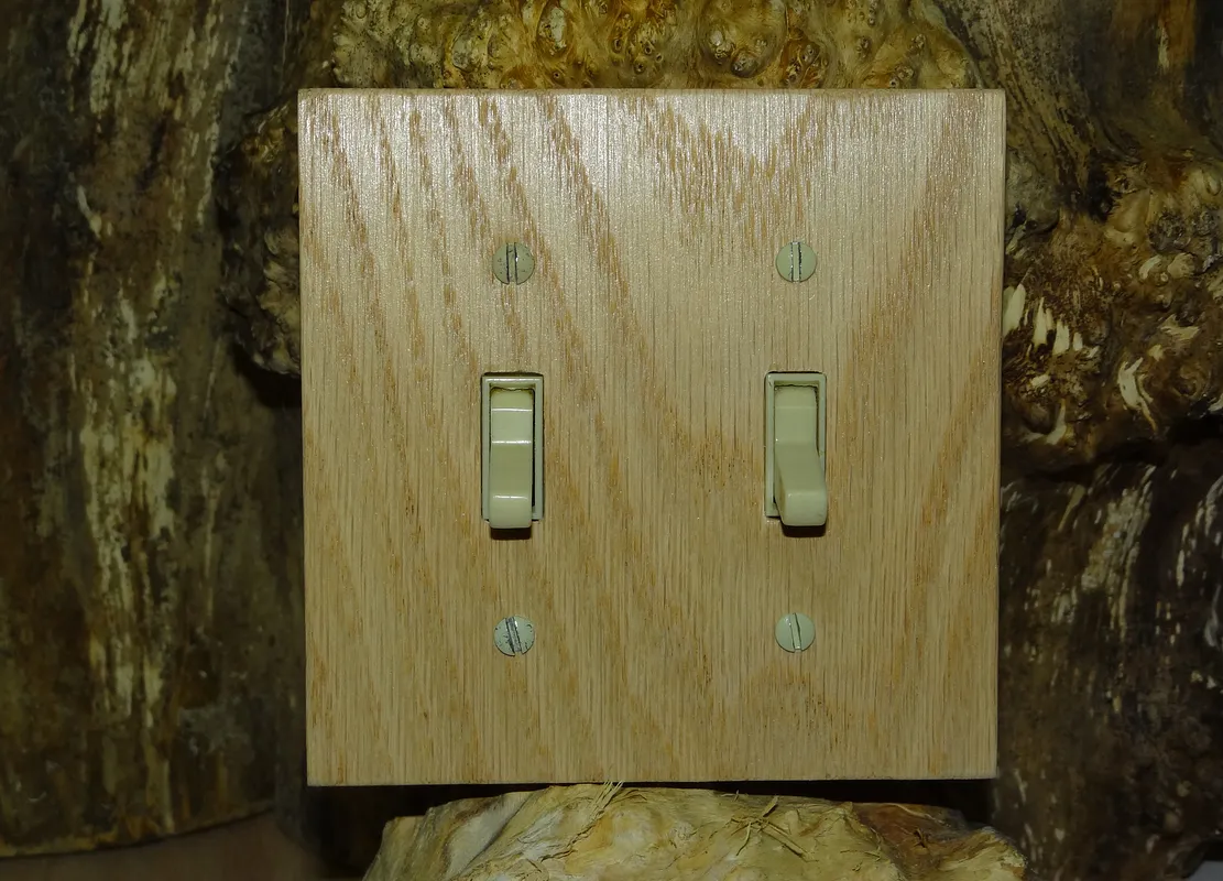 2-Gang Switch Plate - image 1