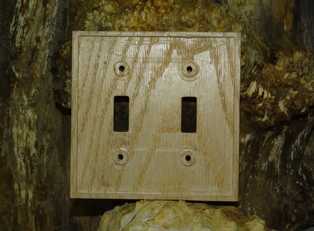 2-Gang Switch Plate - image 2
