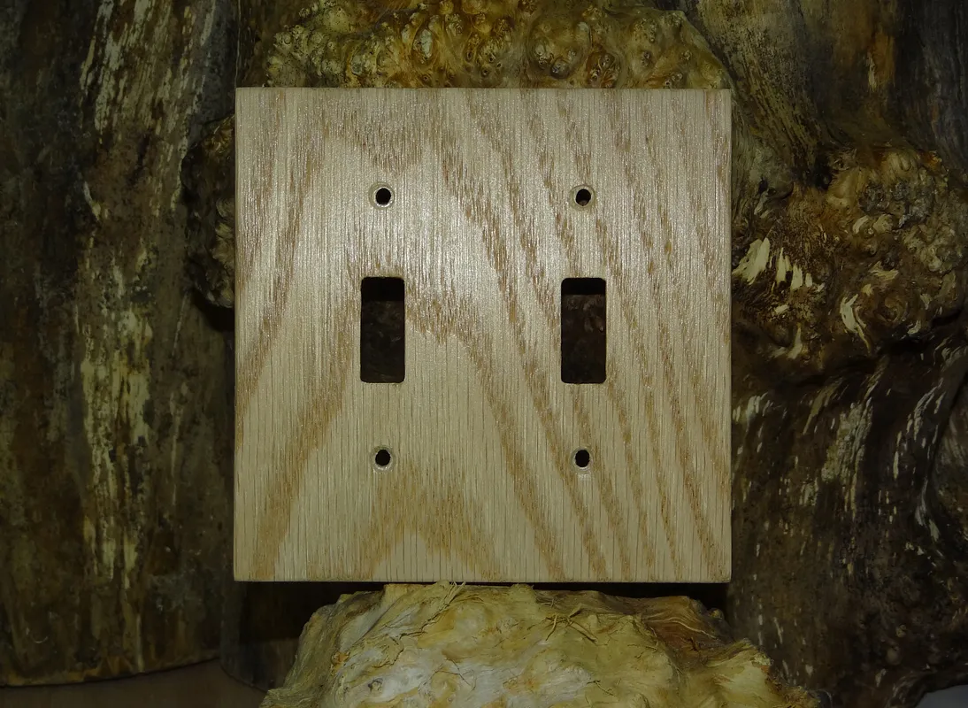 2-Gang Switch Plate - image 3