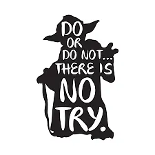 Do Or Do Not There Is No Try - image 1