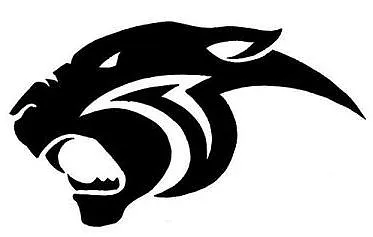 Durand Panthers  - image 1
