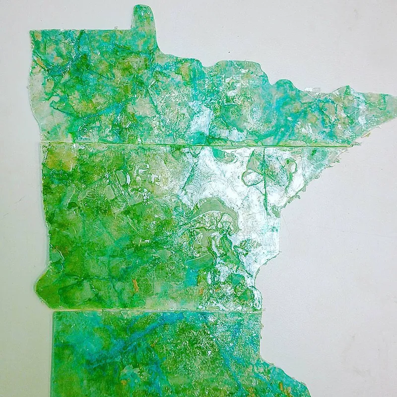 State of Minnesota - image 1