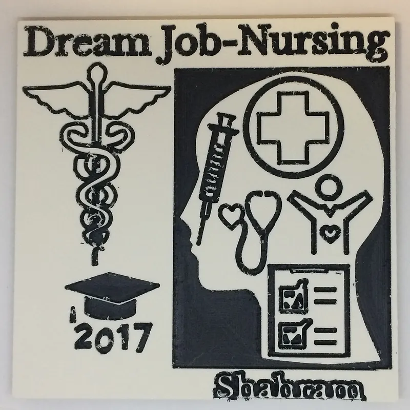 My Dream Job- Nursing - image 1