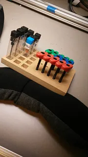 Carvey screw and bit holder