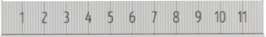 Corian Ruler - image 1