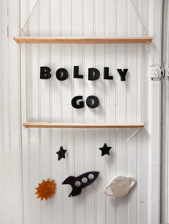 "Boldly Go" Space Mobile - image 4