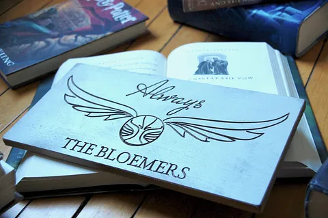 Harry Potter Wedding Sign