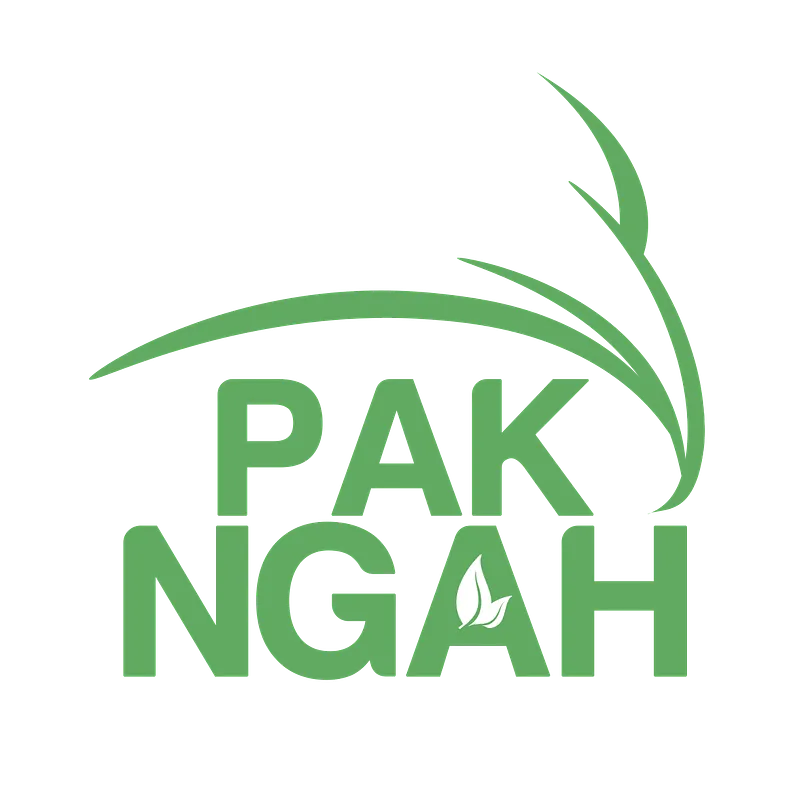 pakngah logo - image 1