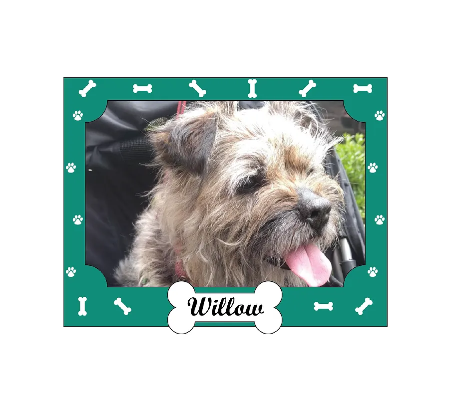 Dog Picture Frame with Collar/Leash Holder - image 1