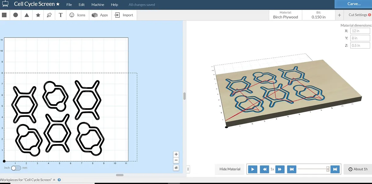 Cell Cycle Screen - image 2