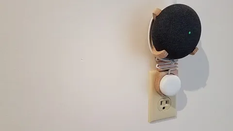 Google Mini Plug Mount