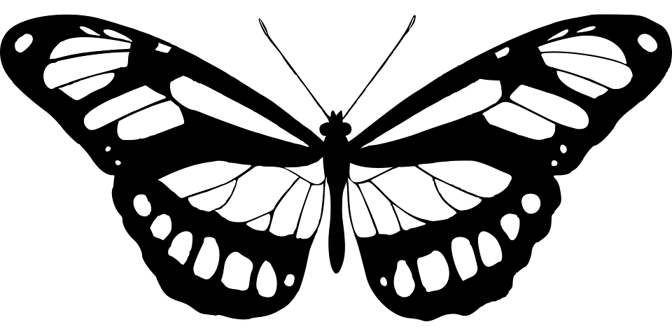 ömer cnc - image 2