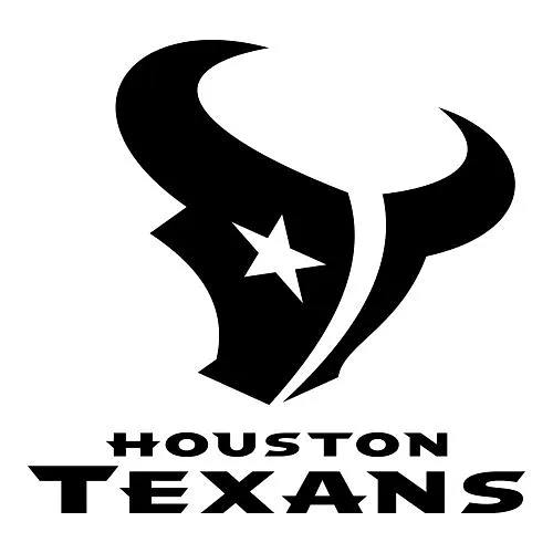 Houston Texans Wall Art - image 1