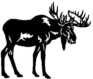 Moose