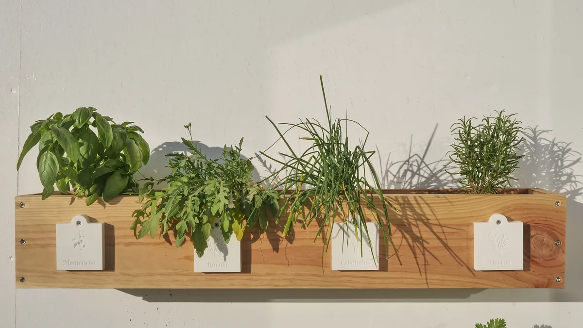 Herbs Labels - image 3