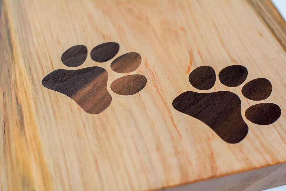 Paw Prints - image 1