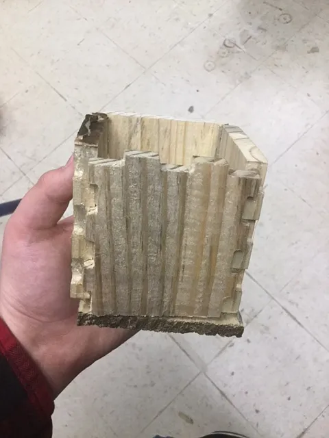 How To: wood box from the Carvey - image 1