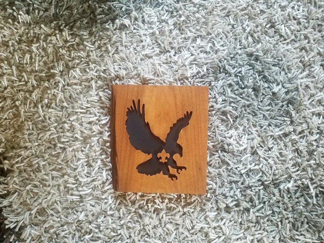 Eagle Scout - image 1
