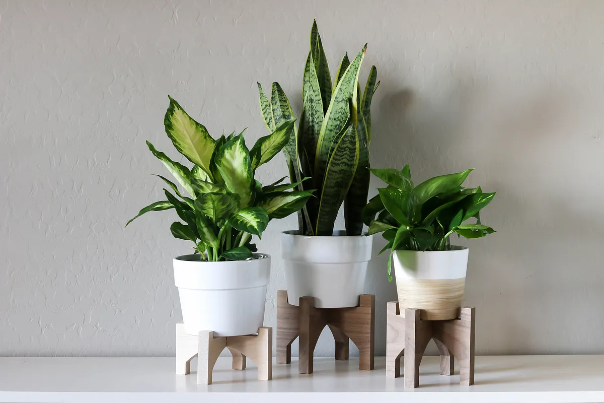 Interlocking Plant Stand - image 1