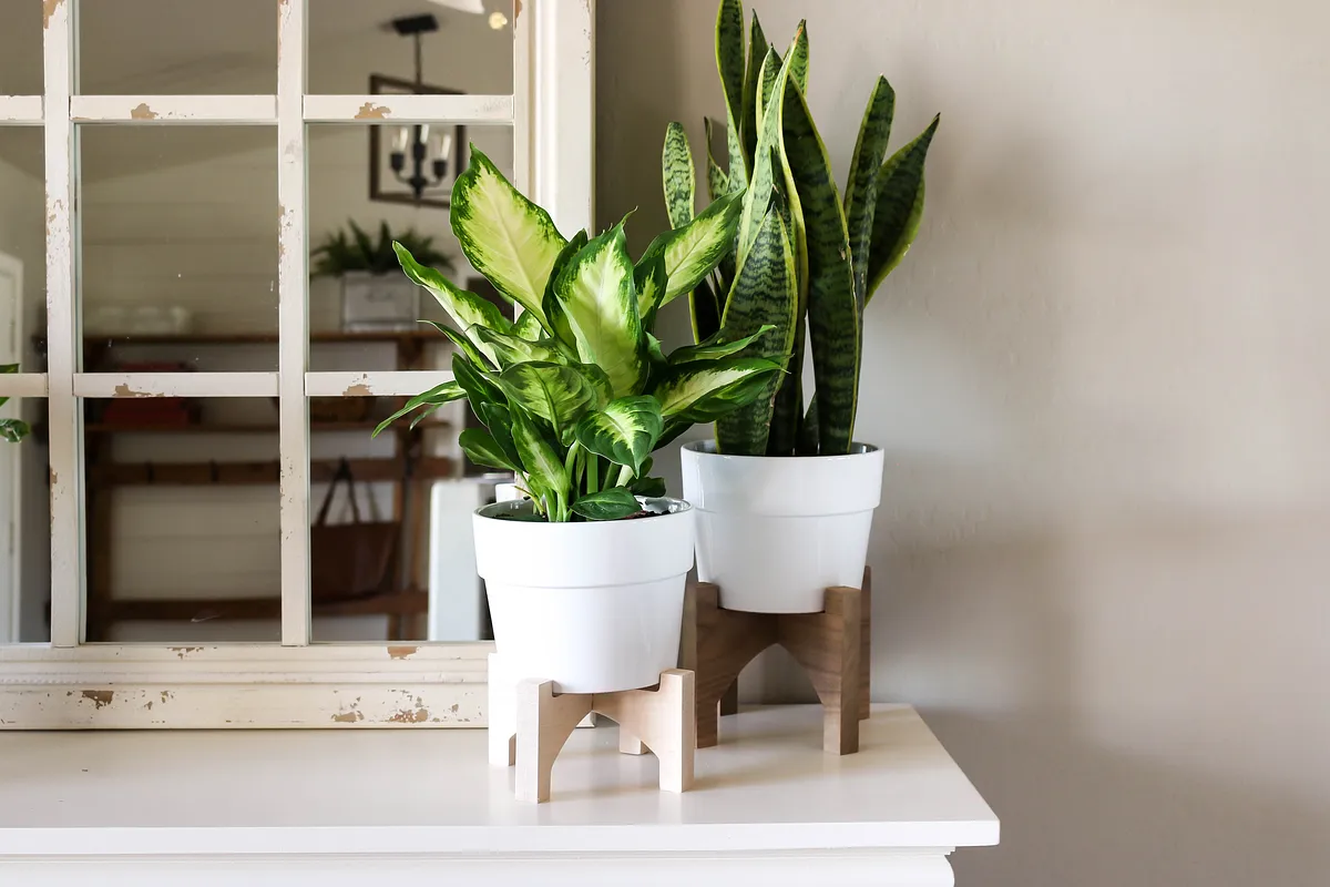Interlocking Plant Stand - image 3