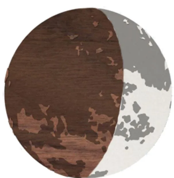 rising moon - image 4