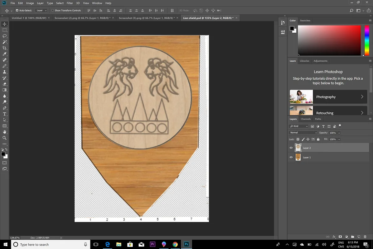 Lion Shield - image 4